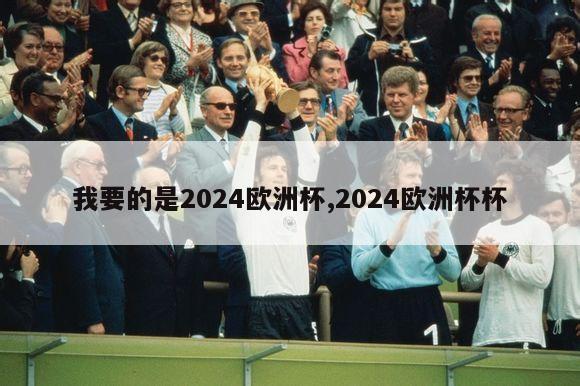 我要的是2024欧洲杯,2024欧洲杯杯