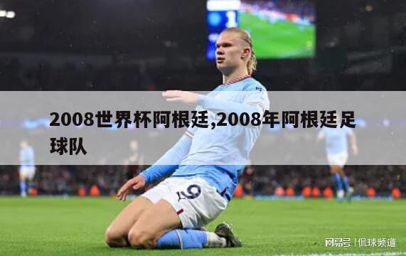 2008世界杯阿根廷,2008年阿根廷足球队