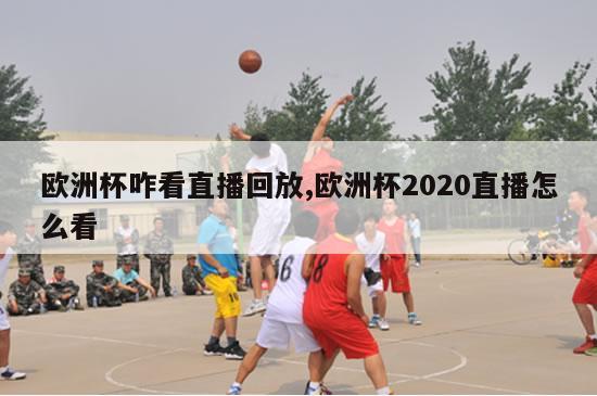 欧洲杯咋看直播回放,欧洲杯2020直播怎么看