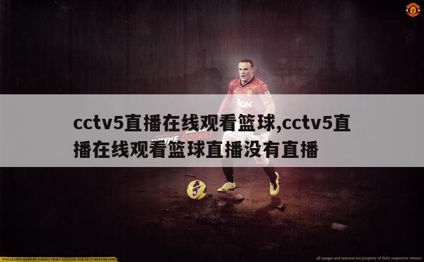 cctv5直播在线观看篮球,cctv5直播在线观看篮球直播没有直播