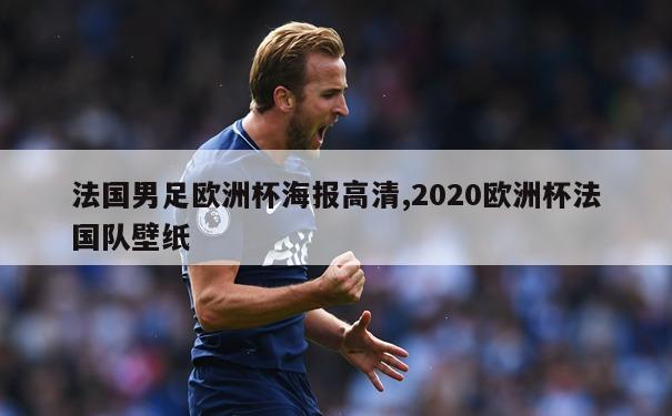 法国男足欧洲杯海报高清,2020欧洲杯法国队壁纸