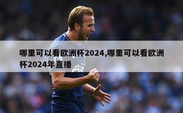 哪里可以看欧洲杯2024,哪里可以看欧洲杯2024年直播