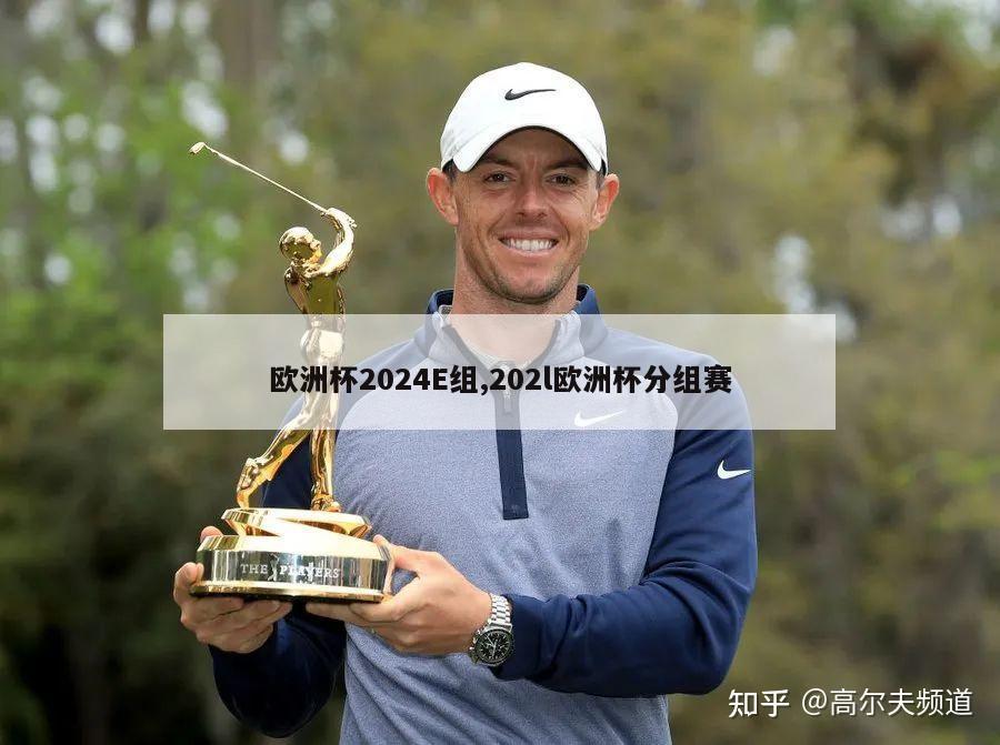 欧洲杯2024E组,202l欧洲杯分组赛