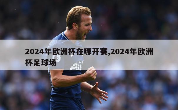 2024年欧洲杯在哪开赛,2024年欧洲杯足球场