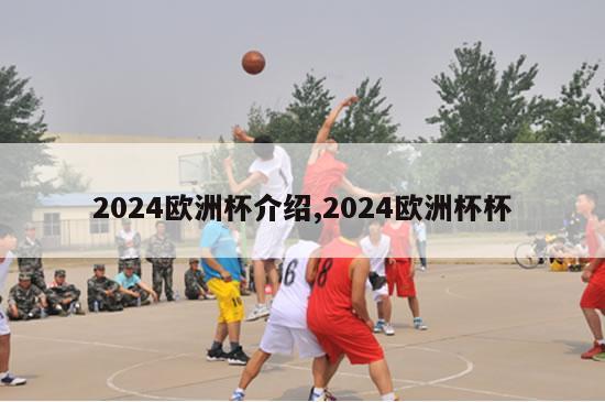 2024欧洲杯介绍,2024欧洲杯杯