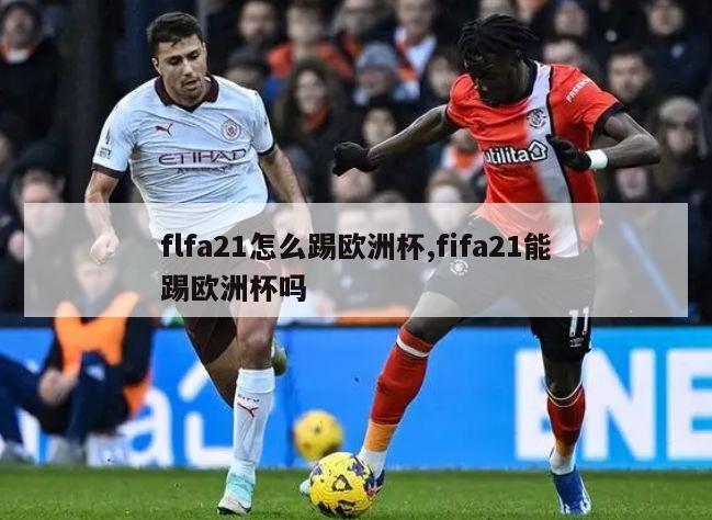 flfa21怎么踢欧洲杯,fifa21能踢欧洲杯吗