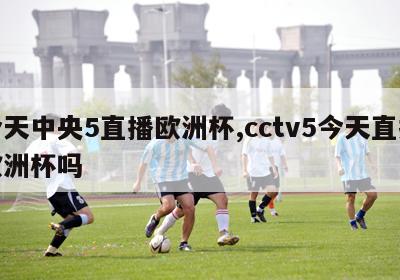 今天中央5直播欧洲杯,cctv5今天直播欧洲杯吗