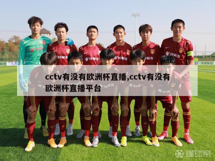 cctv有没有欧洲杯直播,cctv有没有欧洲杯直播平台