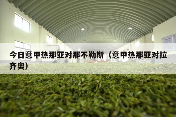 热那亚队是一支技术精湛、战术素养高、极具竞争力的足球队