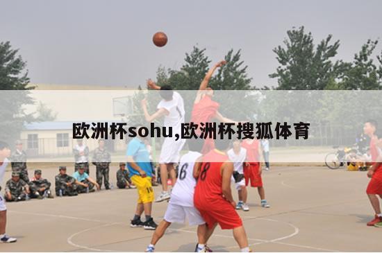 欧洲杯sohu,欧洲杯搜狐体育