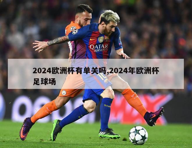 2024欧洲杯有单关吗,2024年欧洲杯足球场