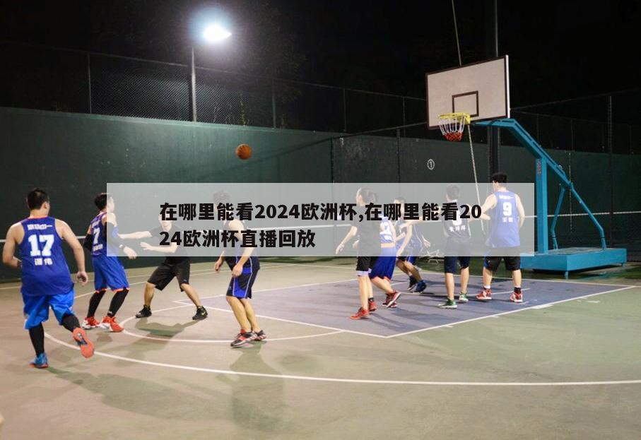 在哪里能看2024欧洲杯,在哪里能看2024欧洲杯直播回放